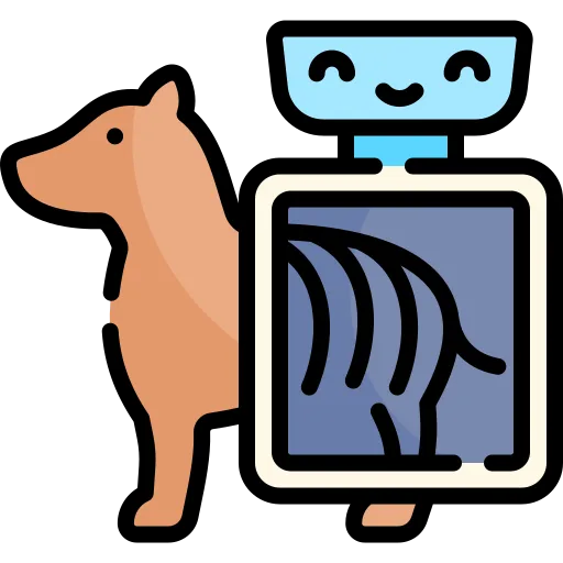 Services - DigitalRadiography - Grand Ave Pet Hospital