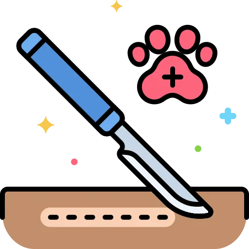 Services - SurgeryMedicalProcedures - Grand Ave Pet Hospital