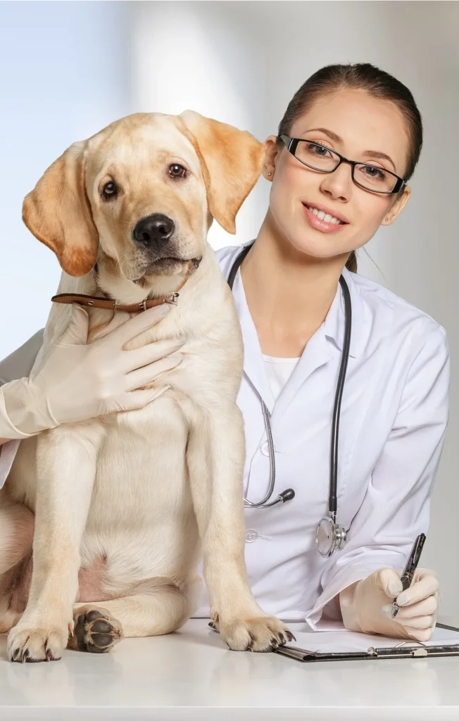 Pet Registration Amp Forms - Doctorregisterationpet1 - Grand Ave Pet Hospital